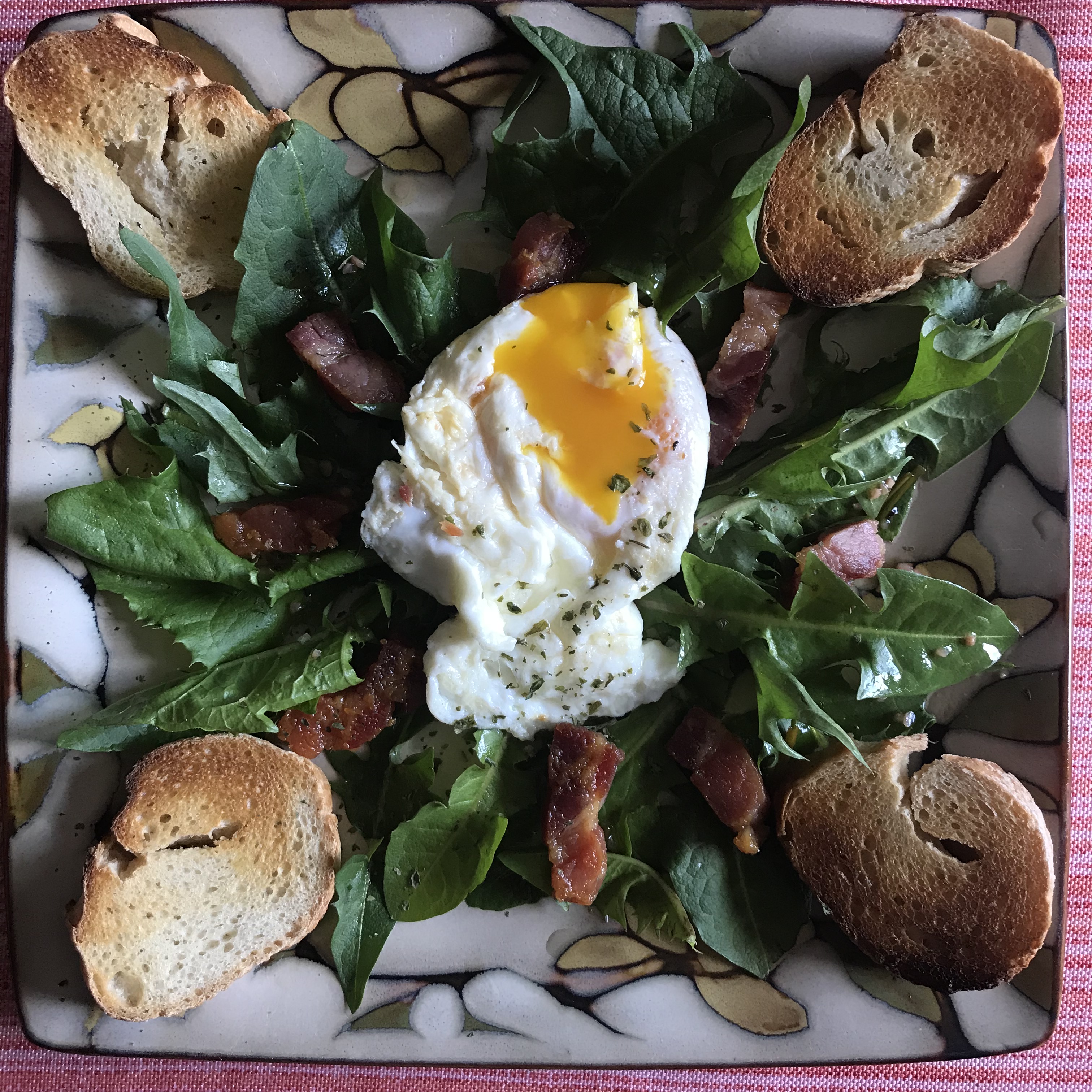 Dandelion salad Lyonnaise style with pancetta lardons; poached egg in center of greens with bacon bits and croutons in the periphery