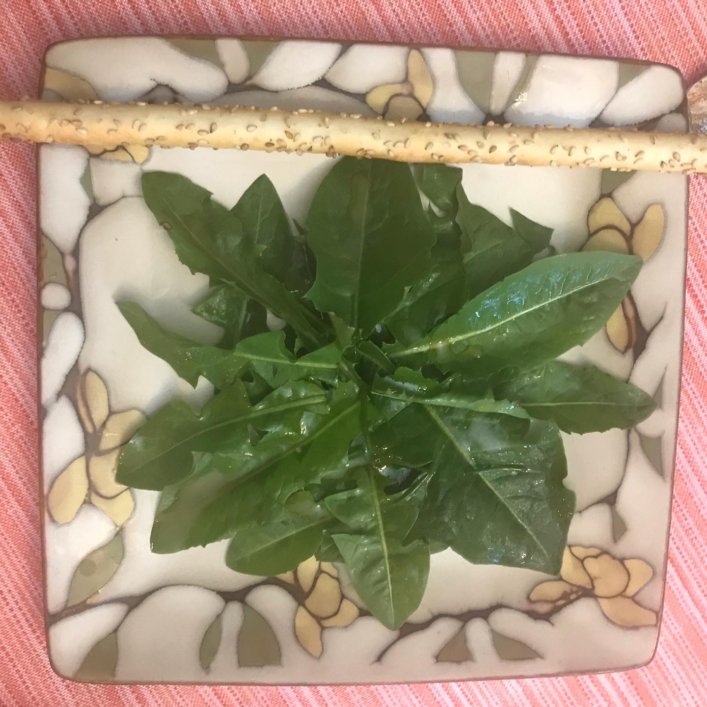 Dandelion salad with a simple red wine and chive vinaigrette arranged on a plate in a starburst pattern like a composed salad, served with a breadstick.